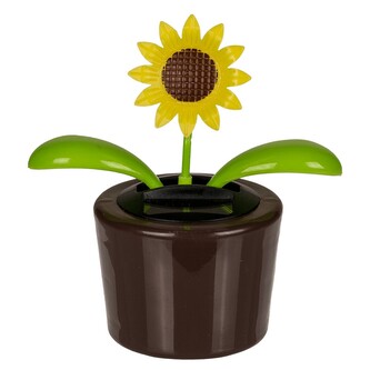 Pohyblivá květina, slunečnice, barva hnědá