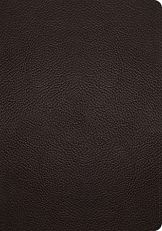 ESV Study Bible