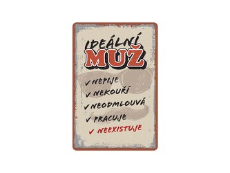 Nekupto Plechová cedule Ideální muž BU20054