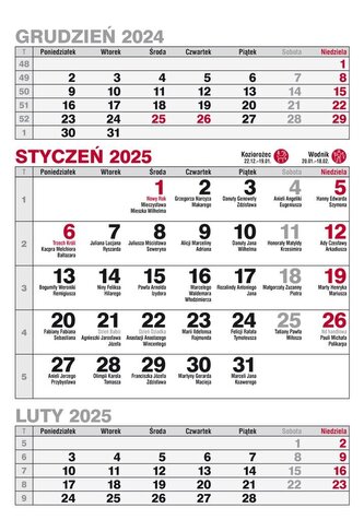 Kalendarz 2025 A5 biurkowy pionowy trójdzielny MIX