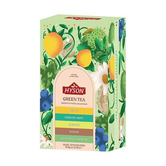 HYSON Green tea Assorted 37g (20 sáčků, kolekce čajů)