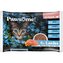 Pawsome! Junior s lososem Multipack 4x85 g