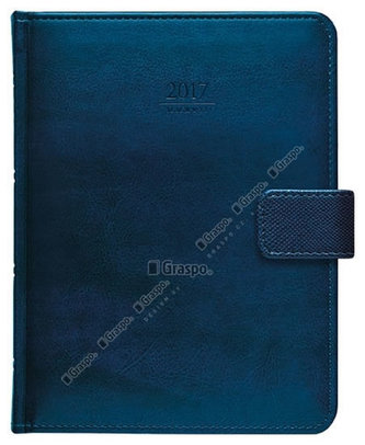 Diář 2017 - Atlas s poutkem denní B6