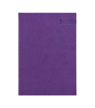 Diář 2017 - Rio denní A5