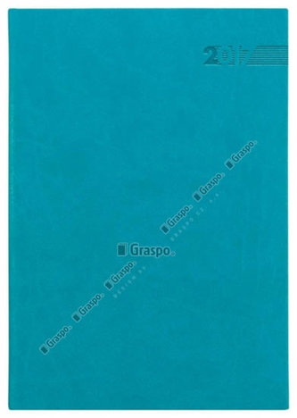 Diář 2017 - Carina denní A5