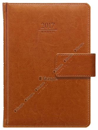 Diář 2017 - Kastor s poutkem denní A5
