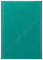 Diář 2017 - Titan tyrkysový denní A4