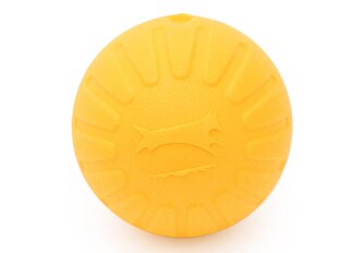 Reedog žlutý pěnový míček ø 9cm