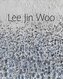 Lee Jin Woo