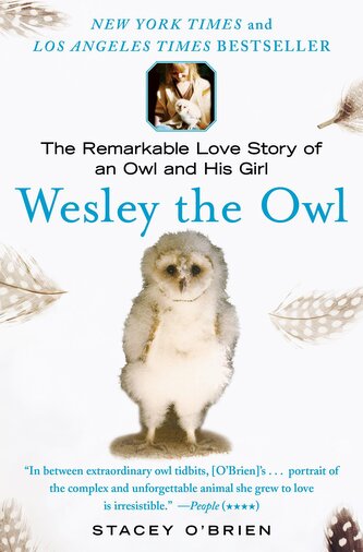 Wesley the Owl