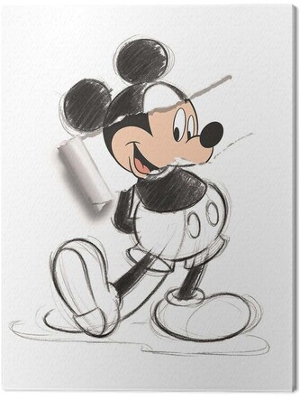 Obraz na plátně Mickey Mouse - Torn Sketch, 2 cm - 60×80 cm