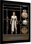 Obraz na zeď - Star Wars: Vzestup Skywalkera - Rey Model, 30 × 40 cm