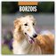 Borzois - Barsoi - Barzaia - Russischer Wolfshund 2025 - 16-Monatskalender