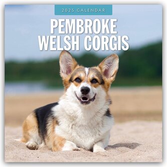 Pembroke Welsh Corgis - Pembroke Welsh Corgi 2025 - 16-Monatskalender