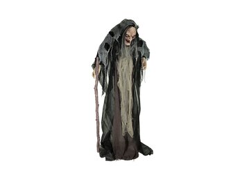 EUROPALMS Halloween Witch Nahema, 160cm