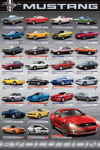 Plakát, Obraz - Ford Mustang Evolution, 61 × 91.5 cm