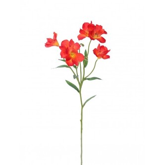 Alstromeria  100-0160/OR