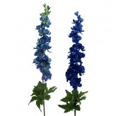 AA Delphinium, 89 cm, Barva tm. modrá  209047-90