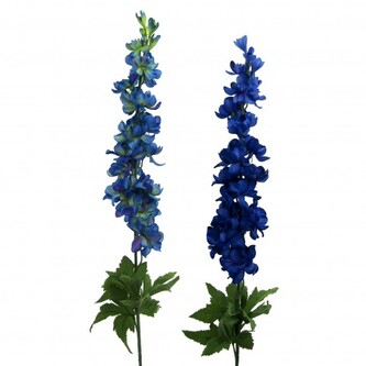 AA Delphinium, 89 cm, Barva tm. modrá  209047-90