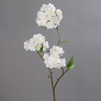 Větev jarní - třešeň bílá  35622-05
