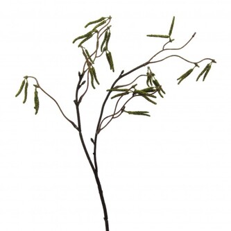 Větev jarní - jehnědy  305038-50