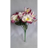 Maceška /bílo-vínová  J144