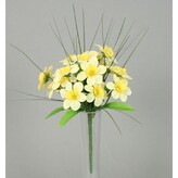 Narcis kytička  110-0048