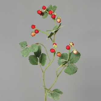 Maliny větvička  65262