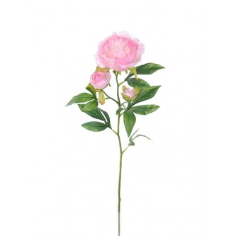 Pivoňka x3 krém-růž., 66 cm  100-0154/CRPK