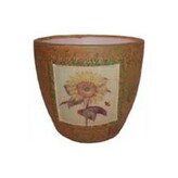 Obal slunečnice  800-0018
