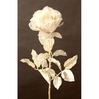 Růže bílá, v. 65 cm  380982W