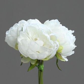 Pivoňka kytička  42916-05