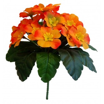 Primule  110-0030/OR