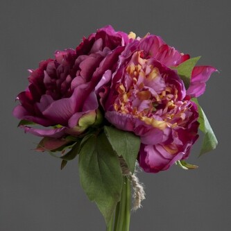 Pivoňka kytička  40088-17