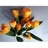 Krokus, 3 barvy, Barva oranžová  EJ001