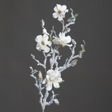 Magnolie velká ojíněná  23610-05