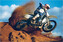 Plakát, Obraz - Motocross, 91.5 × 61 cm