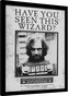 Obraz na zeď - Harry Potter - Sirius Wanted, 30 × 40 cm