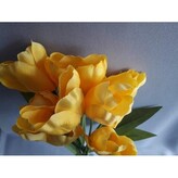 Tulipán kytice, žlutá, Barva žlutá  J230