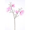 Magnolie větev  110-0059/PK