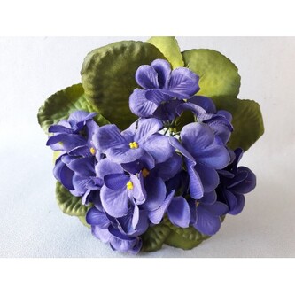 Fialka, 6 barev, Barva tm.fialová  H297