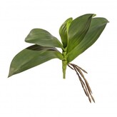 Listy orchideje x 5  3317415-50