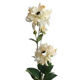 Jiřina krémová  29-6309/kr.