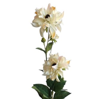 Jiřina krémová  29-6309/kr.