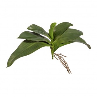 Listy orchideje x 7, velké  3317416-50