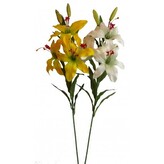 Lilie x3, žlutá, Barva žlutá  8761617A