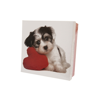 Krabice dárková papír DOG bílá/červená 18x18x7 cm