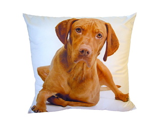 Dadka Fotopolštářek Velký hnědý pes 40x40 cm