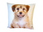 Dadka Fotopolštářek Roztomilý pejsek 40x40 cm