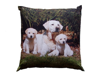 Dadka Fotopolštářek Psí rodinka 40x40 cm